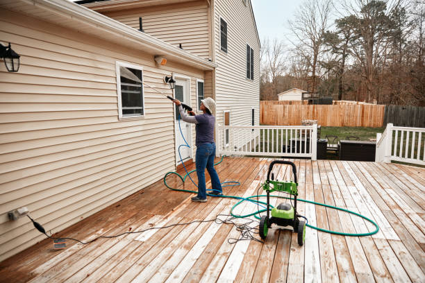 Best Pressure Washing Contractors  in Rockford, MN