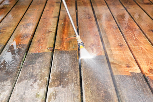 Best Pressure Washing Services for Businesses  in Rockford, MN