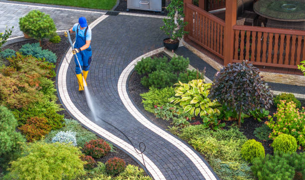 Best Deck Cleaning Services  in Rockford, MN