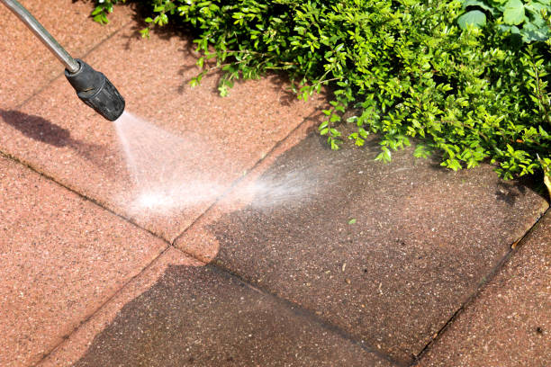 Best Pressure Washing Services Near Me  in Rockford, MN